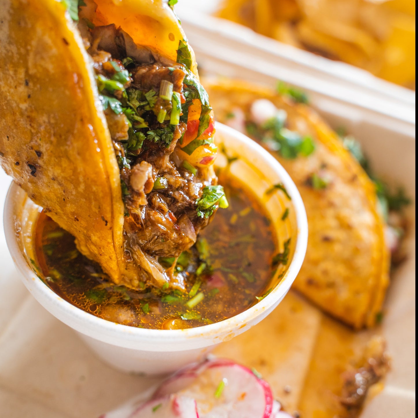 Birria Bomb
